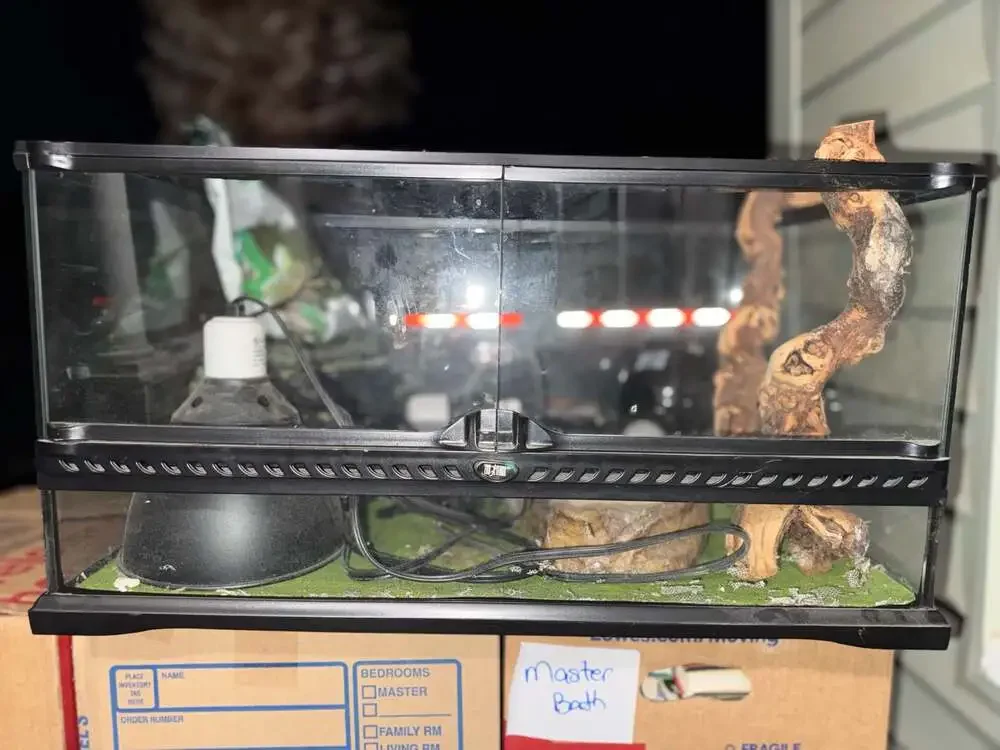 Exo Terra Glass Front-Opening Reptile Terrarium Full Setup with Accessories